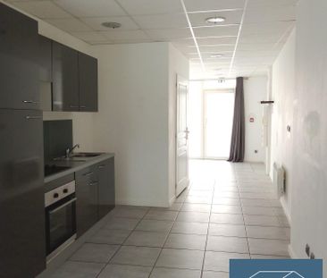 Location Appartement 1 pièce 48m² CHIRENS 38850 - Photo 2