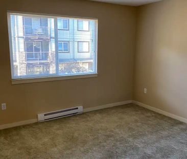 Marshall Grove East Apartments — 1 Bedroom - Photo 1