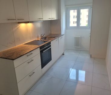 2 Zimmer, EG - Photo 5