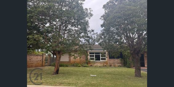 COMING SEPTEMBER - 2 separate dwellings available for separate leases! - Photo 3