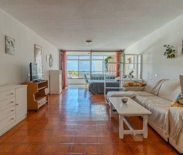 Estudio de alquiler en Avenida Cristobal Colon, 26, Zona Botánico - Photo 2