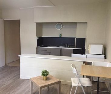 Location Appartement 1 pièce 26m² TOULOUSE 31400 - Photo 2