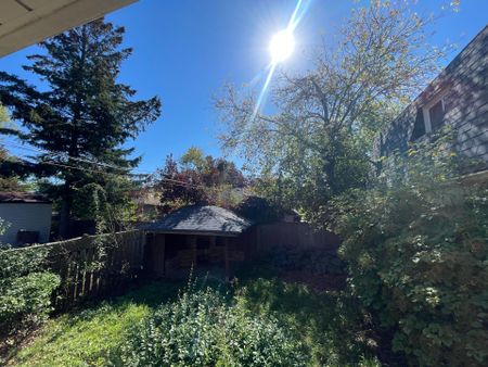 For Lease - 516 Lynett Crescent Unit# Basement, Richmond Hill, Ontario - Photo 3