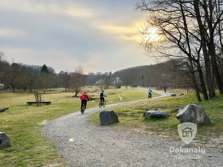 Pronájem bytu 1+kk 32 m² - Photo 5