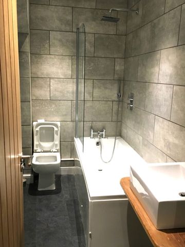 Modern Ensuite in Quiet Professional Home - Photo 5