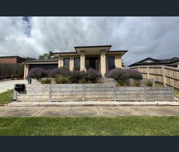 14 Bertram Street, Drouin, Vic 3818 - Photo 5