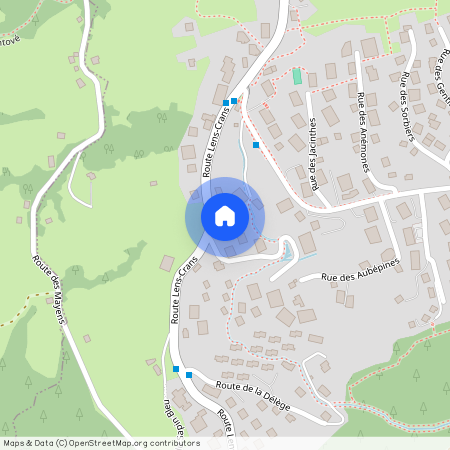 Route de Lens Crans 81, Crans-Montana