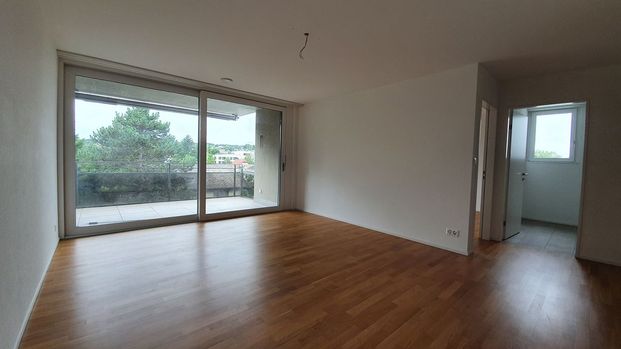 2.5 Zimmer, 74 m², 2. Stock - Photo 1