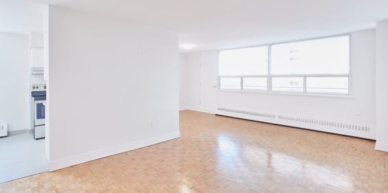 2BD - FULLY RENOVATED - 10 Teesdale Place - Photo 3