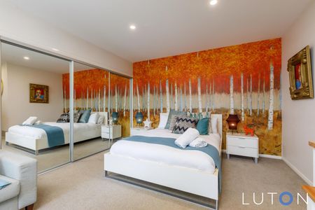 26A Isherwood Street, Weston ACT 2611 - Studio For Rent | Domain - Photo 3