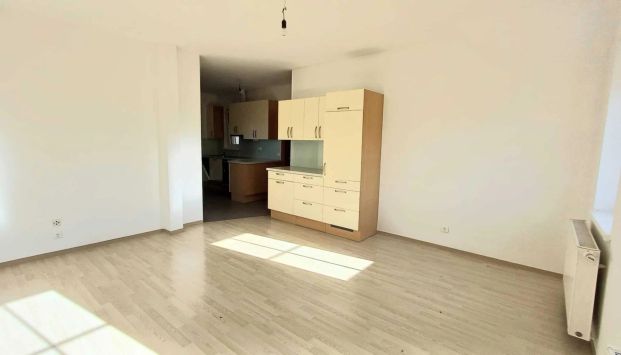 Landhaus-Charme, sonnige 3 ZI mit Naturblick, Parkplatz - Photo 1