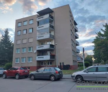 Pronájem zařízeného bytu 2+1 s balkónem – Malšovice, HK - Photo 1