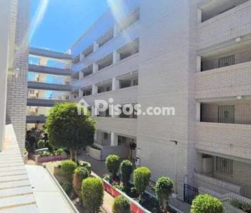 Piso en alquiler en Marina D'Or - Photo 1