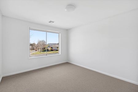 35 Bernacchi Street, Mawson. - Photo 5