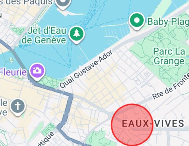 Beautiful 4P with balcony – Eaux-Vives - Photo 1