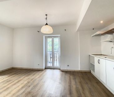 Location Appartement 2 pièces 30m² BLAUSASC 06440 - Photo 5