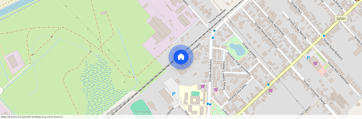 Timis, Timisoara