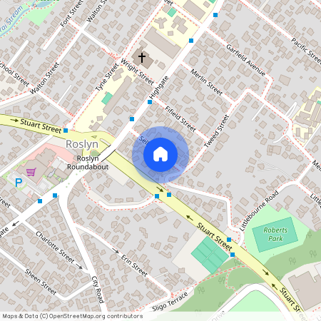 22 Selkirk Street, Roslyn, Dunedin