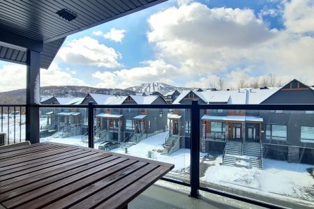 74 Rue de Joliette, app.405, Bromont - Photo 3