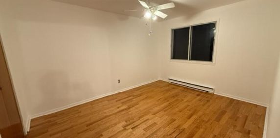 BEAU GRAND 4.5 LIBRE MAINTENANT RÉNOVÉ PEINTURÉ MONTREAL NORD - Photo 2