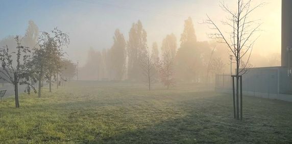 Condivisione casa - Photo 2