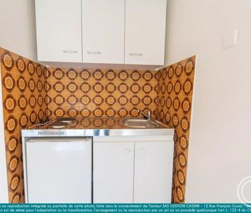 Location Appartement 1 pièce 21m² NICE 06000 - Photo 3