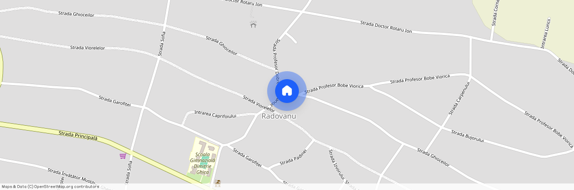 1 Confort, str, Radovanu, 917205