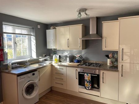 4 bedroom house share to rent - Photo 2