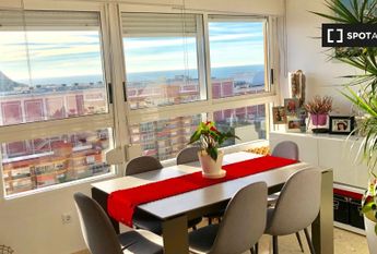 alicante, Valencian Community 03013