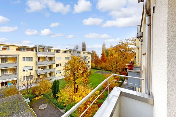 Living near Lake Lucerne - Photo 1