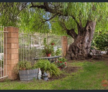 Over 55’s living, secure, quiet and peaceful.… - Photo 3