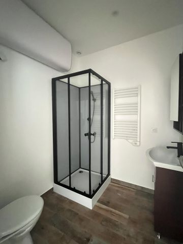 Duplex/Triplex - Photo 4