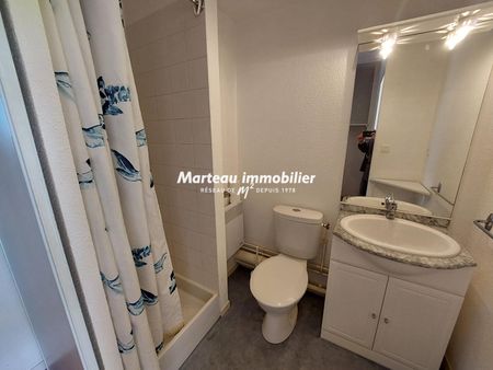 Location Appartement 1 pièce 20m² - Photo 3