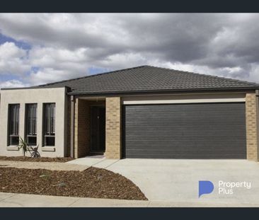 13 John Street, North Bendigo, Vic 3550 - Photo 3