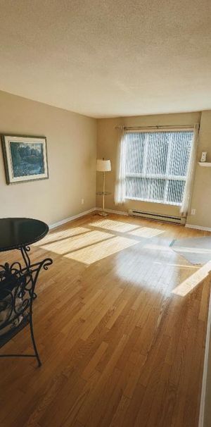 L’appartement 3 ½ dans le coin paisible, situé près de toutes les commodités, rue facile pour le stationnement, cinq minutes à pied du métro Cadillac - Photo 1