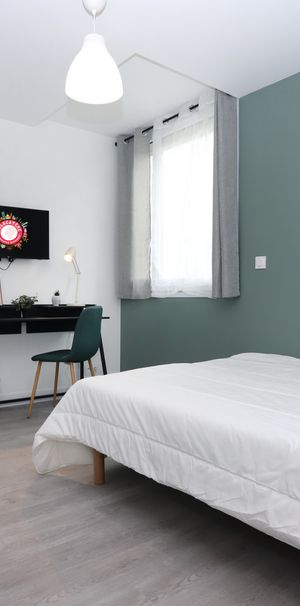 CARRE DE SAXE Colocation 3 chambres à Rennes - Photo 1