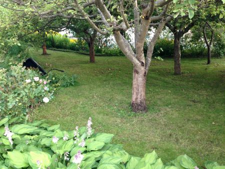 Stockholm south – hägersten None - Photo 2