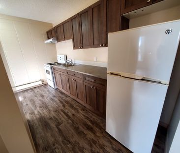 Large 1 Bedroom Units!!! - Photo 2