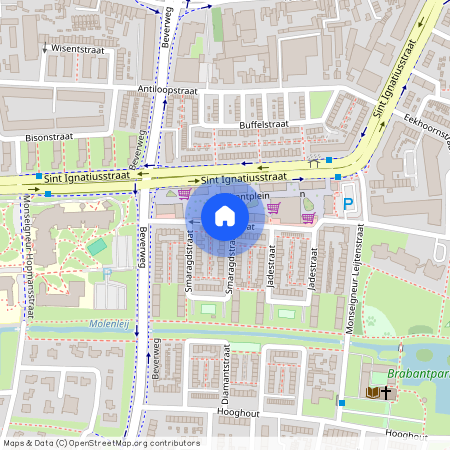 Brabantpark, 4817 JD, Robijnstraat, Breda