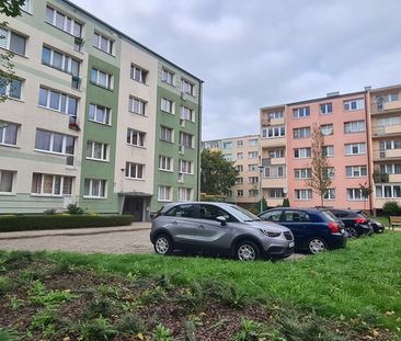 MIESZKANIE na WYNAJEM - Фото 6