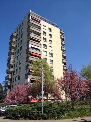 3.5 Zimmer, 65 m², 8. Stock - Photo 4