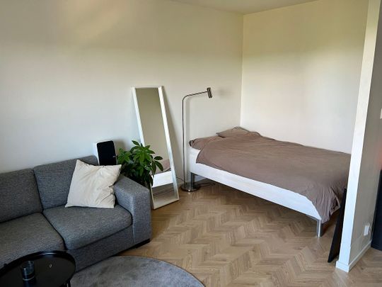 Rekylgatan, Västerås - Foto 1