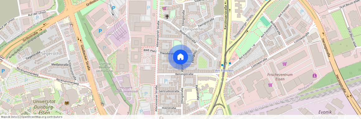 Eltingstr. 41, 45141, Essen Ot Nordviertel