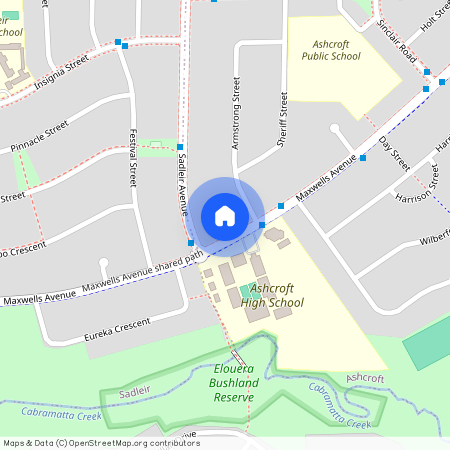 113 Maxwells Avenue, NSW 2168, Ashcroft