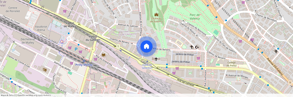 1004, Lausanne, Chemin De Renens, 41
