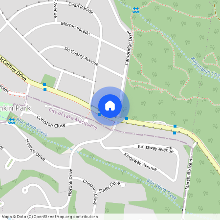 294 McCaffrey Drive, NSW 2287, Rankin Park