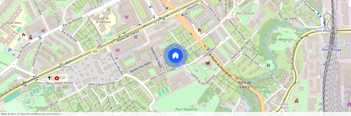 Vieux-Chemin-d'Onex 14, Lancy