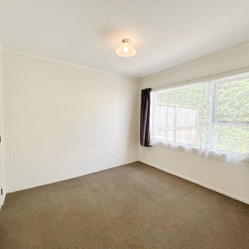 Spacious two bedroom unit plus carpark - Photo 1