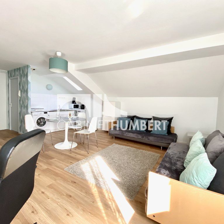 Location Appartement 1 pièce Meublé 34m² ST ETIENNE 42000 - Photo 1