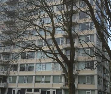 Gerstkamp 0ong, 2592 CS Den Haag, Nederland - Foto 2